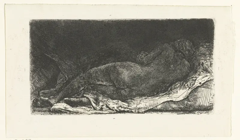 Reclining female nude Wall Art by Unknown - High-Resolution Digital Print