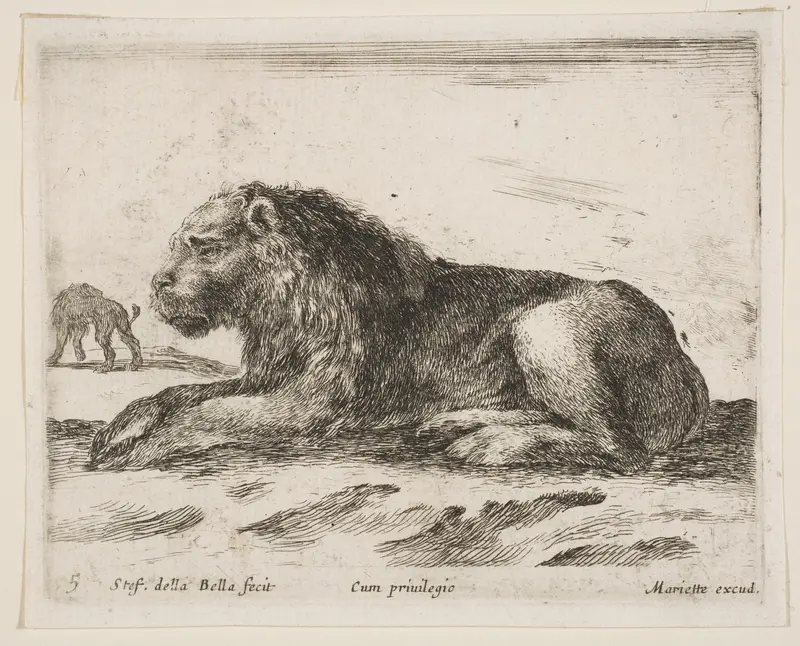 Reclining lion, plate 5 from "Various Animals" (Diversi Animali) Wall Art by Stefano della Bella - High-Resolution Digital Print