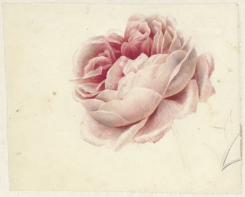 Red Rose Wall Art by Georgius Jacobus Johannes van Os - High-Resolution Digital Print
