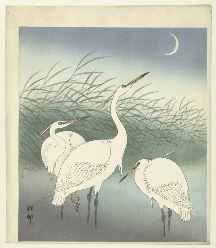 Reigers in ondiep water Wall Art by Watanabe Shōzaburō - High-Resolution Digital Print
