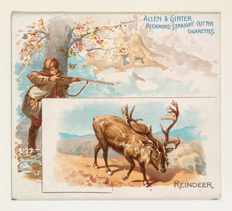 Reindeer, from Quadrupeds series (N41) for Allen & Ginter Cigarettes Wall Art by Allen & Ginter - High-Resolution Digital Print