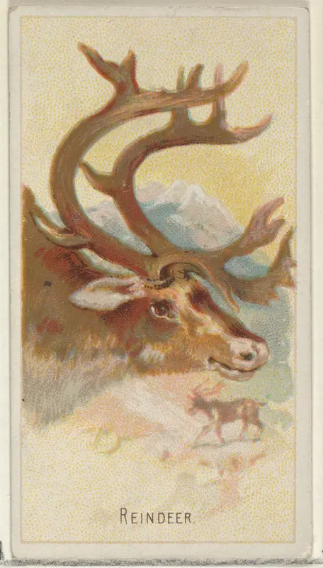 Reindeer, from the Wild Animals of the World series (N25) for Allen & Ginter Cigarettes Wall Art by Allen & Ginter - High-Resolution Digital Print