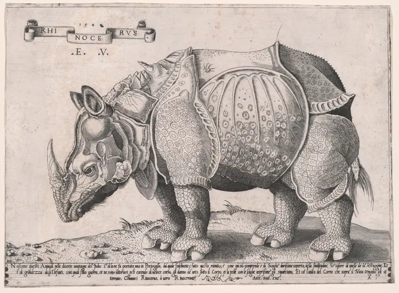 Rhinoceros