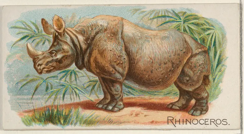 Rhinoceros, from the Quadrupeds series (N21) for Allen & Ginter Cigarettes Wall Art by Allen & Ginter - High-Resolution Digital Print