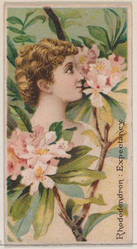 Rhododendron: Expectancy, from the series Floral Beauties and Language of Flowers (N75) for Duke brand cigarettes Wall Art by American Tobacco Company - High-Resolution Digital Print