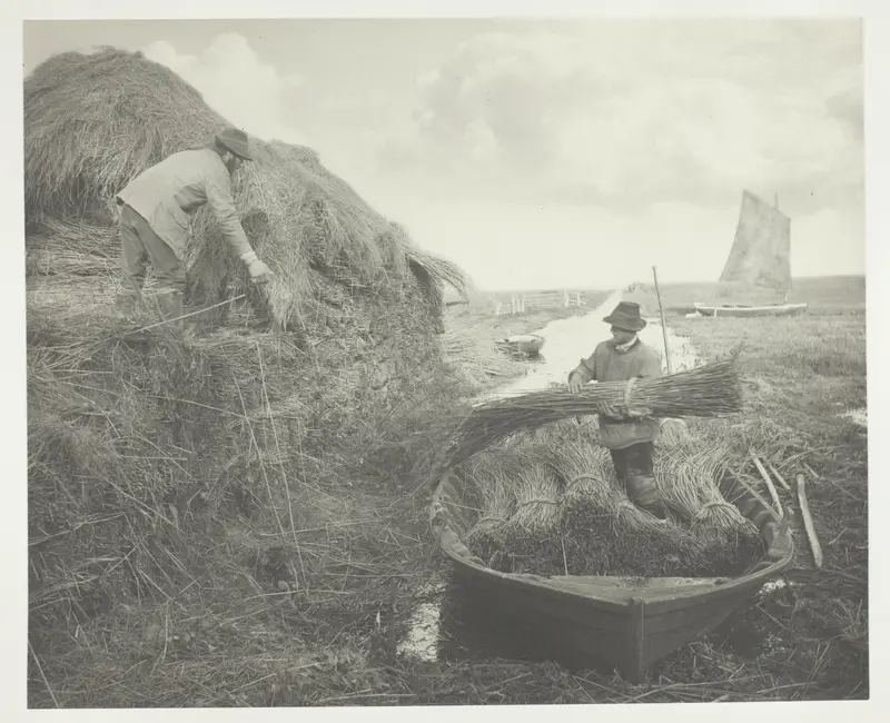 Ricking the Reed Wall Art by Peter Henry Emerson - High-Resolution Digital Print