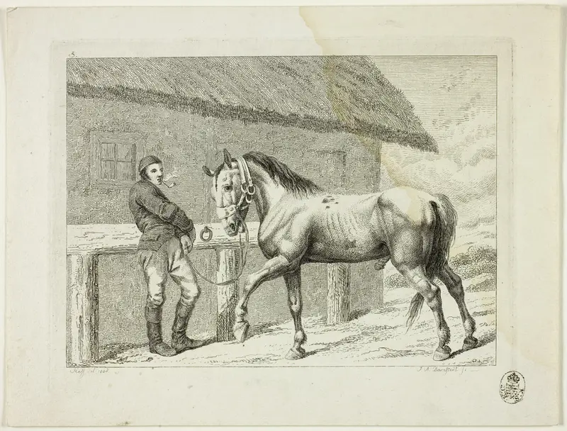 Riding School and Horses