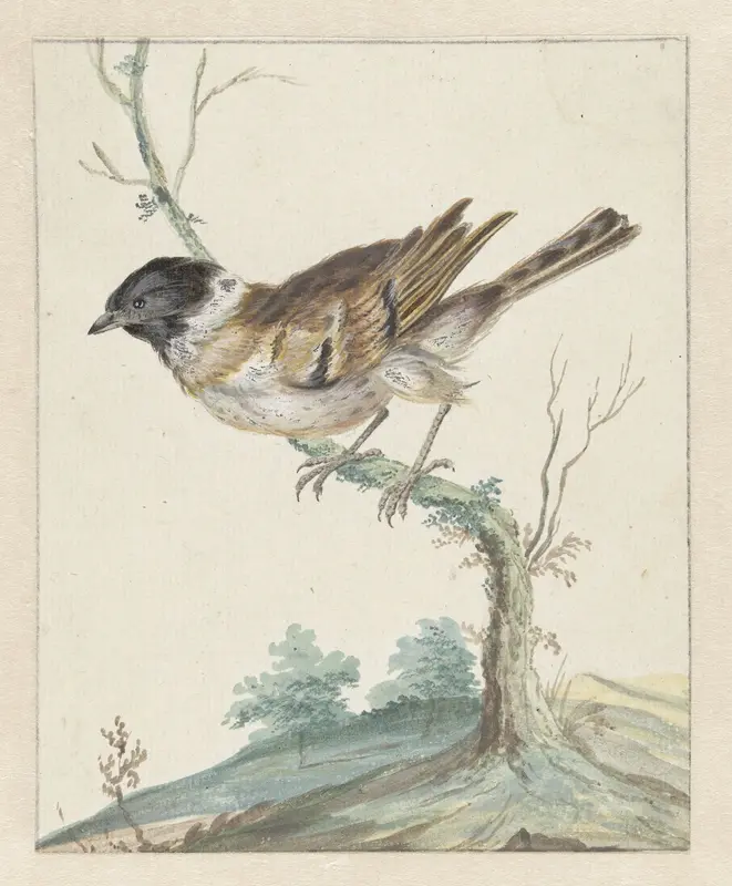 Rietgors (?) Wall Art by Jan Weenix - High-Resolution Digital Print