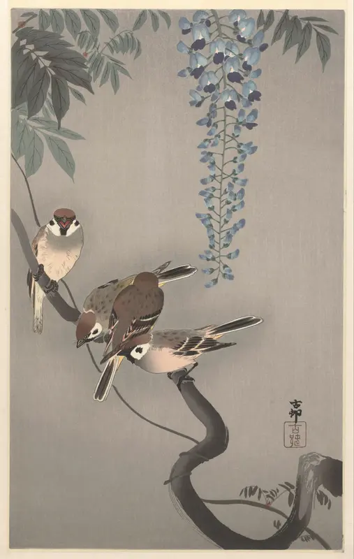 Ringmussen bij wisteria Wall Art by Unknown - High-Resolution Digital Print