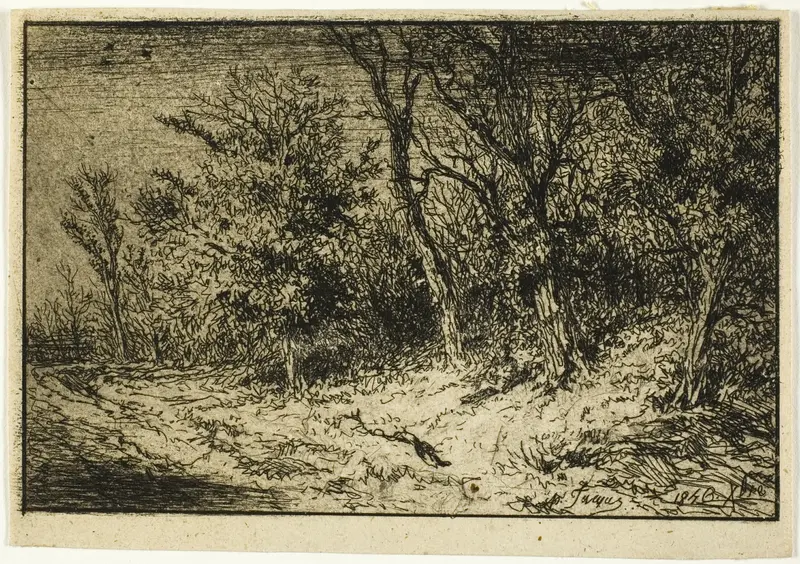 Road at the Edge of a Wood