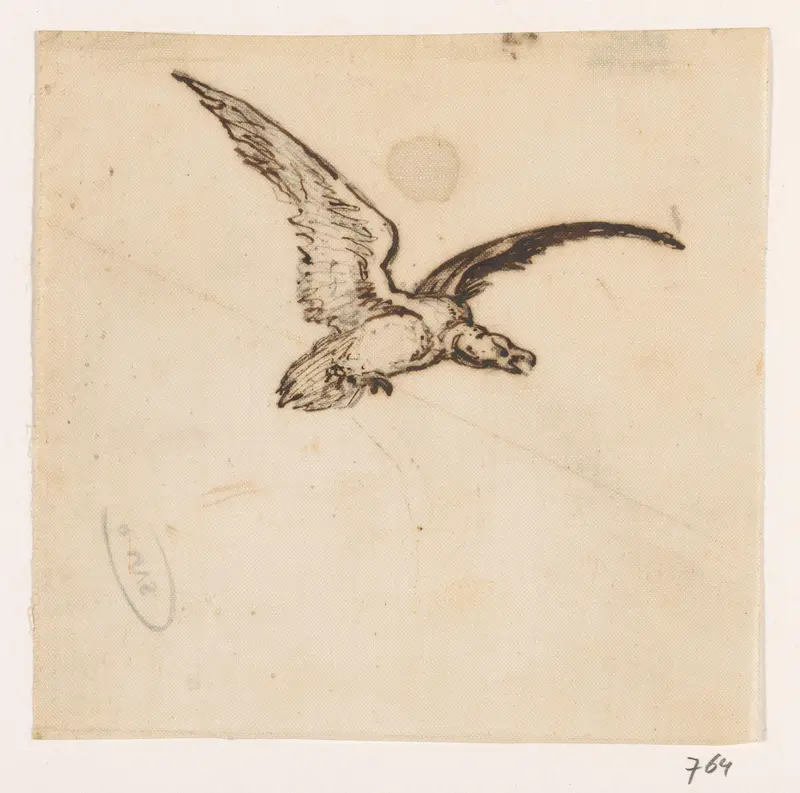 Roofvogel Wall Art by Johannes Tavenraat - High-Resolution Digital Print