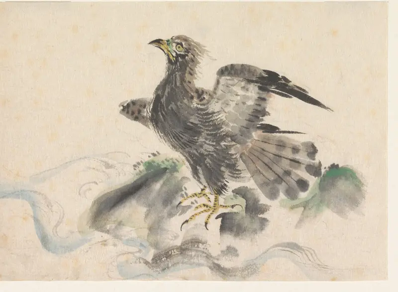 Roofvogel op rots Wall Art by Unknown - High-Resolution Digital Print