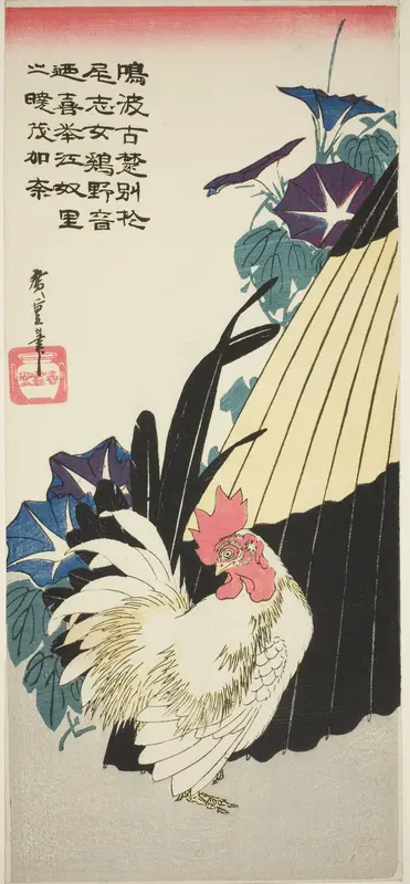 Rooster, umbrella, and morning glories