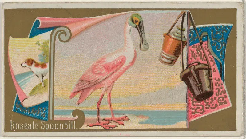 Roseate Spoonbill, from the Game Birds series (N13) for Allen & Ginter Cigarettes Brands Wall Art by Allen & Ginter - High-Resolution Digital Print