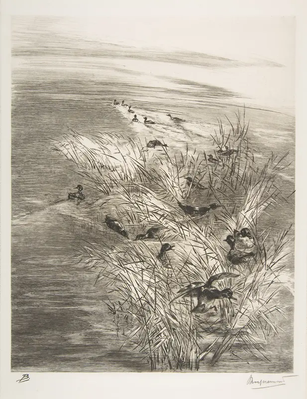 Roseaux et Sarcelles Wall Art by Félix Bracquemond - High-Resolution Digital Print