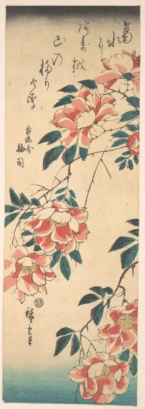 Roses