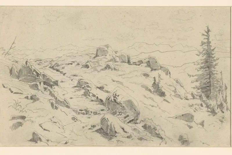 Rotsblokken en dennen in het hooggebergte Wall Art by Ludwig Gustav Voltz - High-Resolution Digital Print