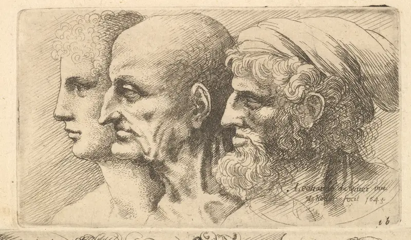 Row of three heads in profile to left Wall Art by Wenceslaus Hollar - High-Resolution Digital Print