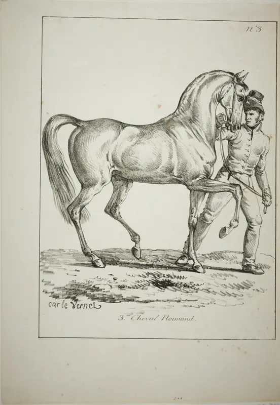 Royal Guard, Norman Cavalier, not in Full Dress, and Horse, No. 3 Wall Art by Carle Vernet - High-Resolution Digital Print