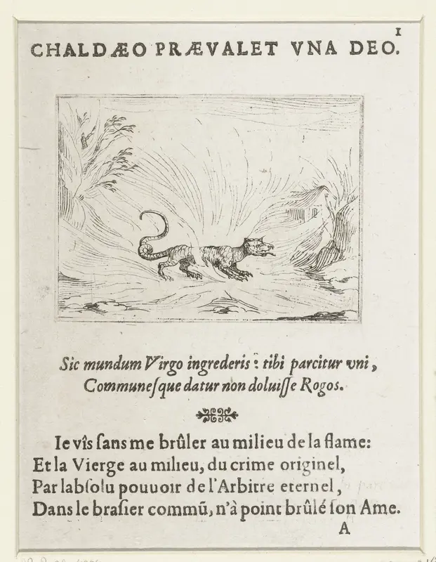 Salamander in het vuur Wall Art by Anthoine Charlot - High-Resolution Digital Print