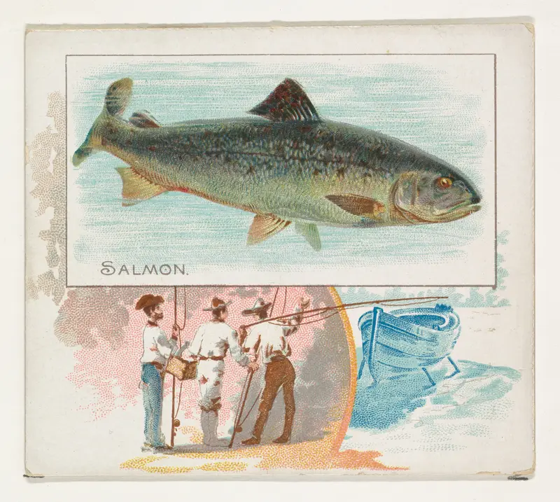 Salmon, from Fish from American Waters series (N39) for Allen & Ginter Cigarettes Wall Art by Allen & Ginter - High-Resolution Digital Print