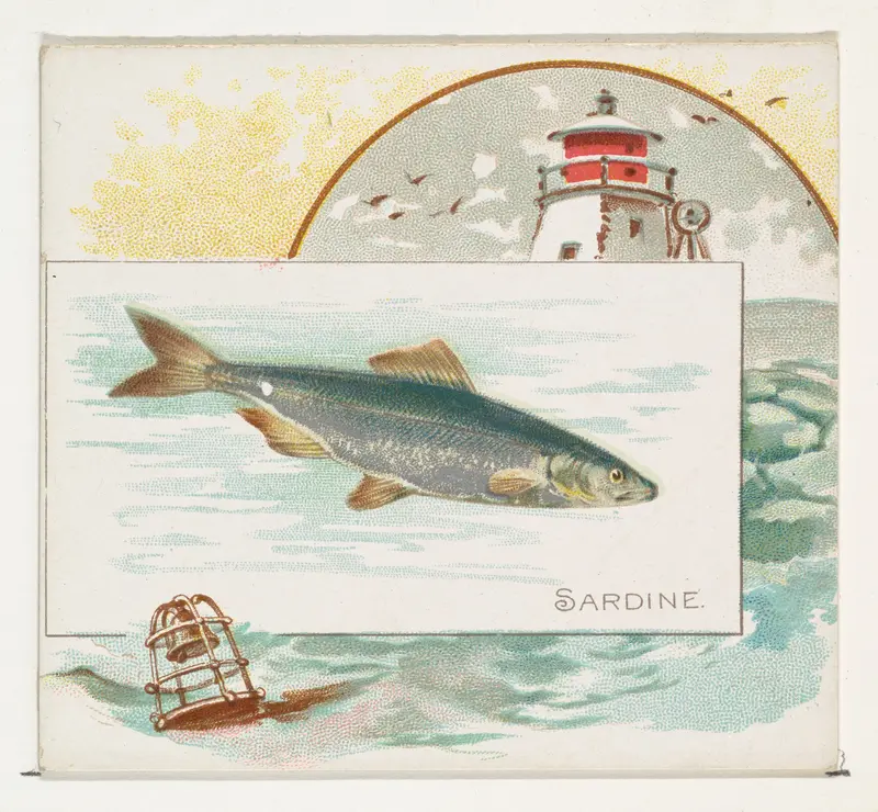 Sardine, from Fish from American Waters series (N39) for Allen & Ginter Cigarettes Wall Art by Allen & Ginter - High-Resolution Digital Print