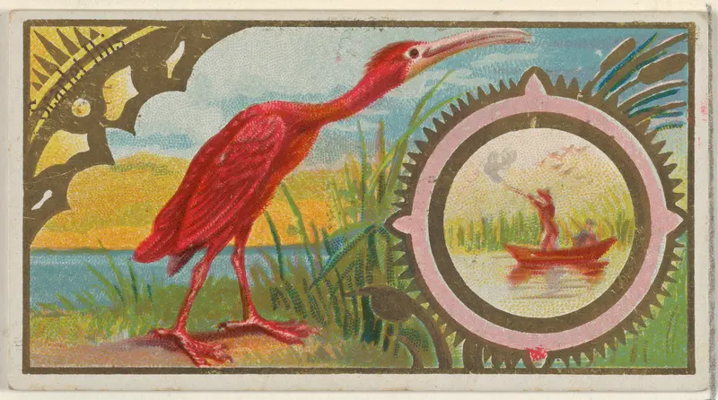 Scarlet Ibis, from the Game Birds series (N13) for Allen & Ginter Cigarettes Brands Wall Art by Allen & Ginter - High-Resolution Digital Print
