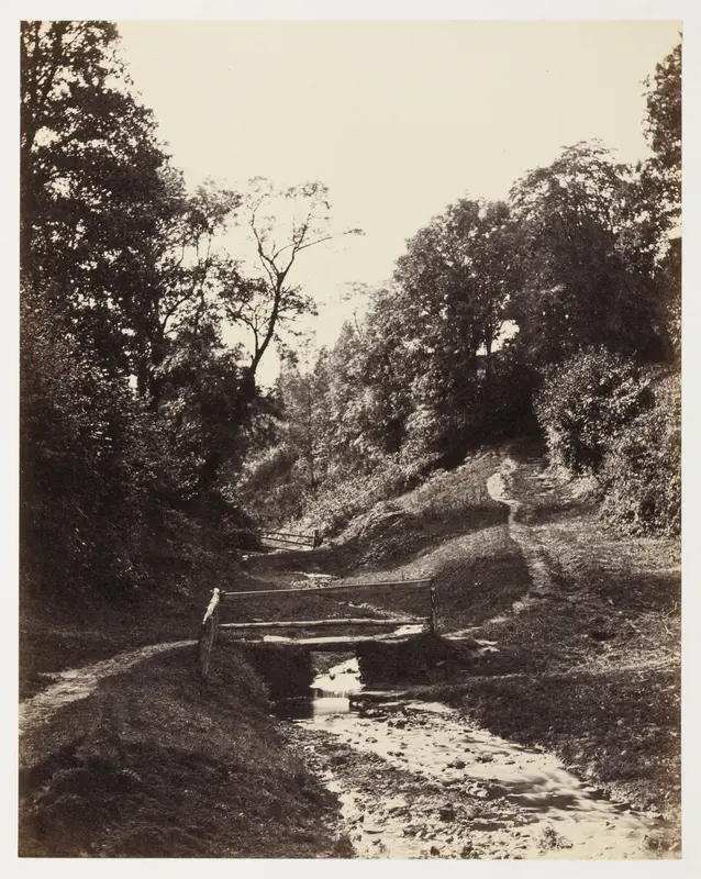 Scene near Godalming, Surrey