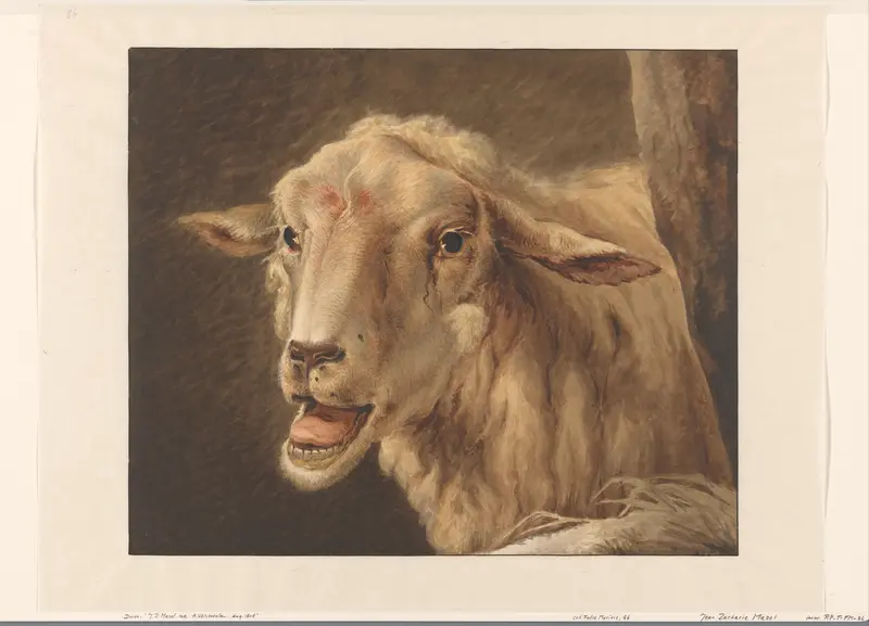 Schaapskop Wall Art by Jean Zacherie Mazel - High-Resolution Digital Print