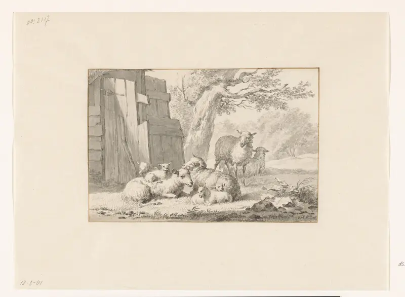 Schapen bij een schuur Wall Art by anonymous - High-Resolution Digital Print