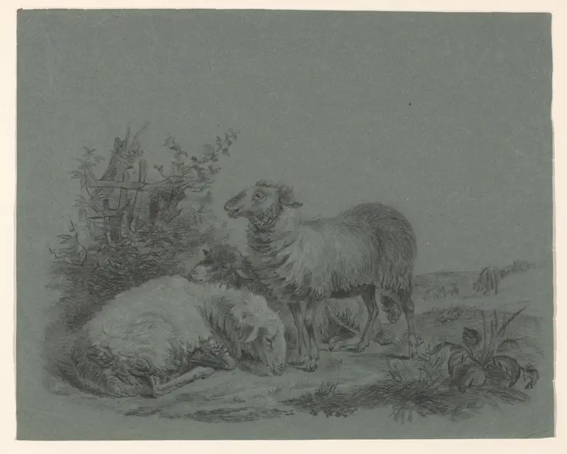 Schapen in een weide Wall Art by anonymous - High-Resolution Digital Print