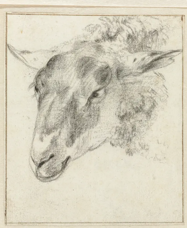 Schapenkop, iets van boven en van opzij Wall Art by Unknown - High-Resolution Digital Print