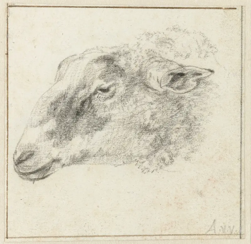 Schapenkop, van opzij Wall Art by Unknown - High-Resolution Digital Print