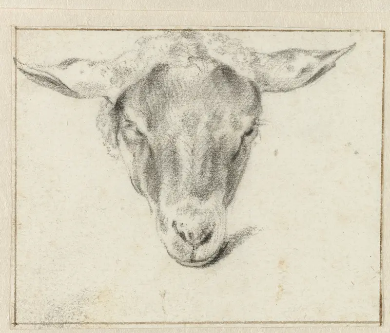 Schapenkop, van voren Wall Art by Unknown - High-Resolution Digital Print