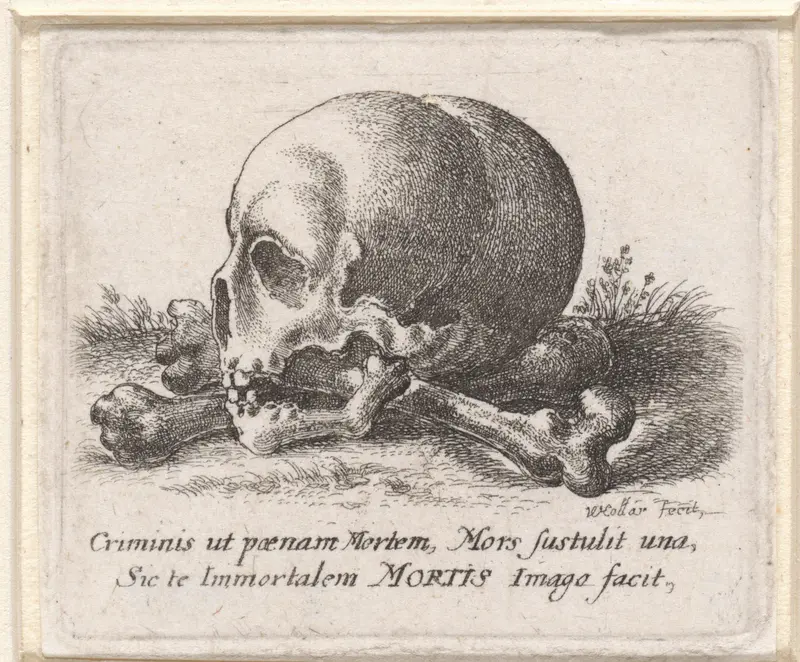 Schedel en beenderen Wall Art by Unknown - High-Resolution Digital Print