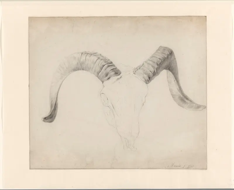 Schedel van een bok, de horens uitgewerkt Wall Art by Anton Mauve - High-Resolution Digital Print