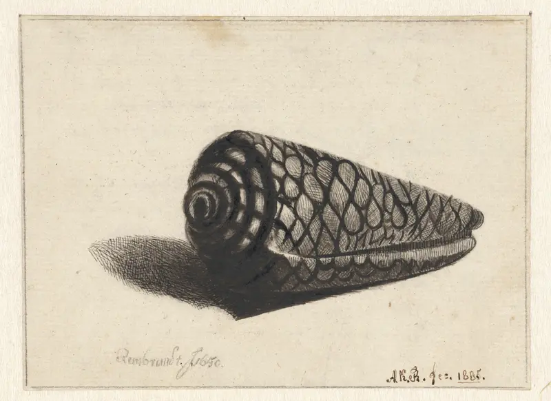 Schelp Wall Art by Anthonie Karel Ringler - High-Resolution Digital Print