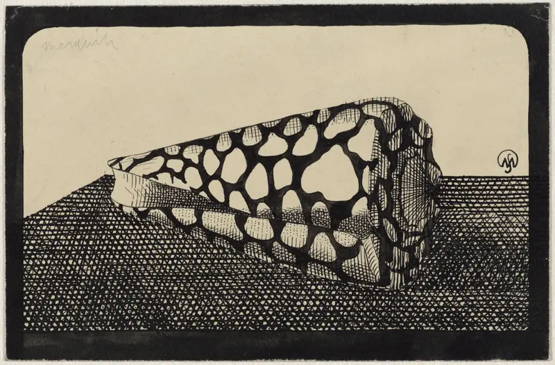 Schelp, naar links Wall Art by Samuel Jessurun de Mesquita - High-Resolution Digital Print