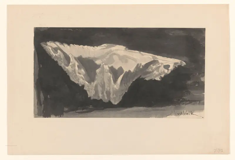 Schelp tegen zwart fond Wall Art by Maurits van der Valk - High-Resolution Digital Print