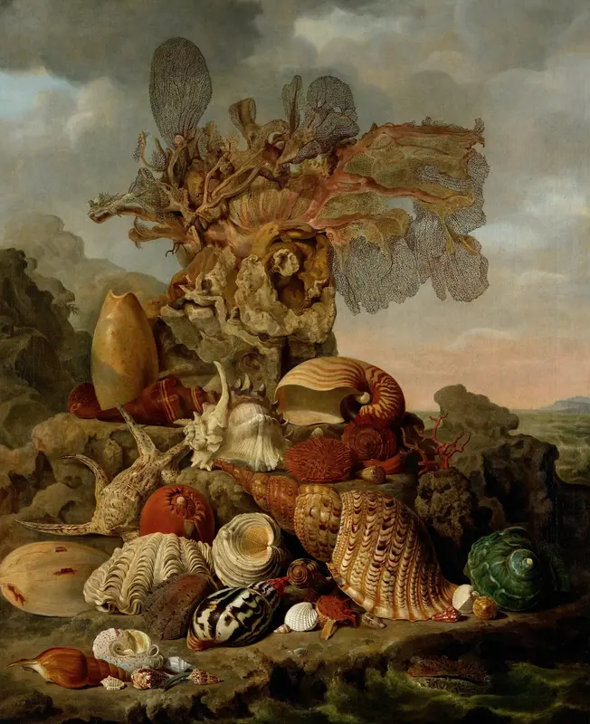 Schelpen en zeegewassen Wall Art by Unknown - High-Resolution Digital Print