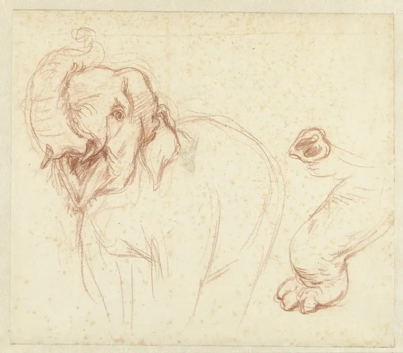 Schets van een olifant, poot en slurf Wall Art by Petrus Camper - High-Resolution Digital Print