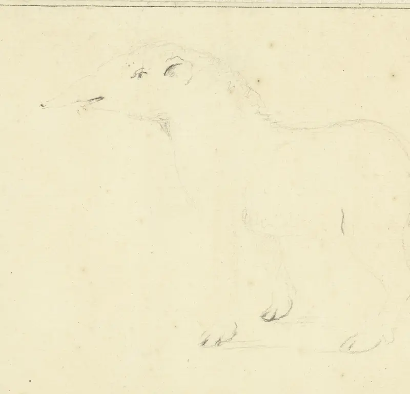 Schets van een tapir Wall Art by Willem Hendrik Wilhelmus van Royen - High-Resolution Digital Print