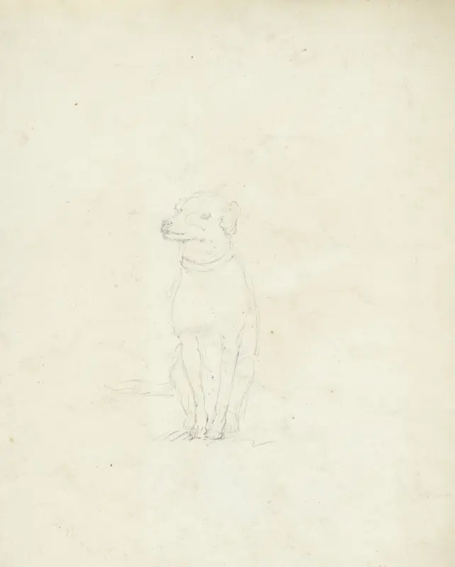 Schets van een zittend hondje Wall Art by Pieter van Loon - High-Resolution Digital Print
