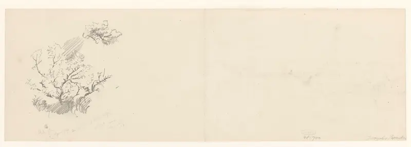 Schets van struiken Wall Art by Jan Hoynck van Papendrecht - High-Resolution Digital Print