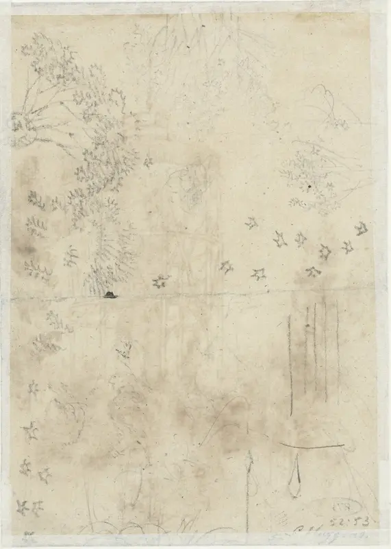 Schetsblad met bomen en sterren Wall Art by anonymous - High-Resolution Digital Print