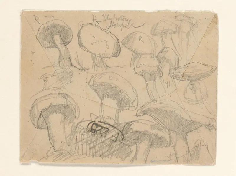Schetsblad met diverse paddenstoelen Wall Art by August Allebé - High-Resolution Digital Print