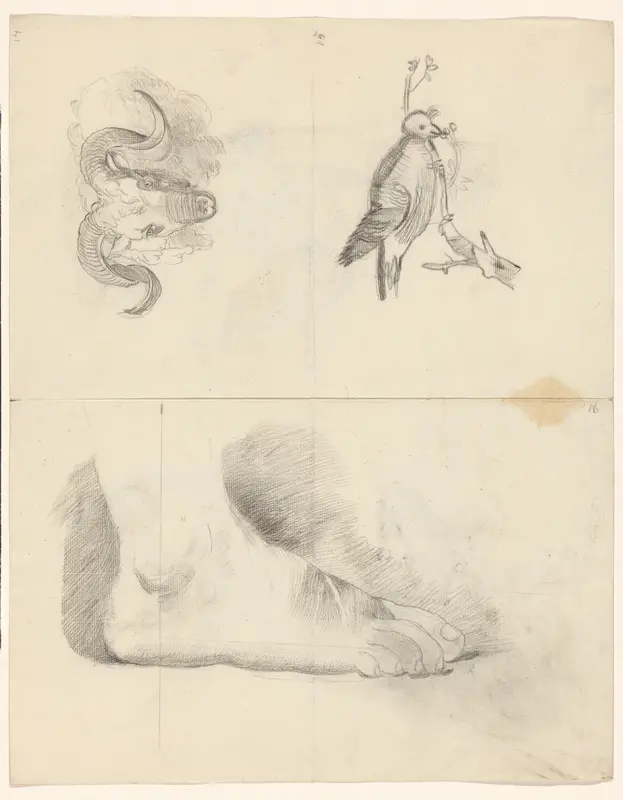 Schetsblad met een voet, een ramskop en een vogel op een tak Wall Art by Unknown - High-Resolution Digital Print