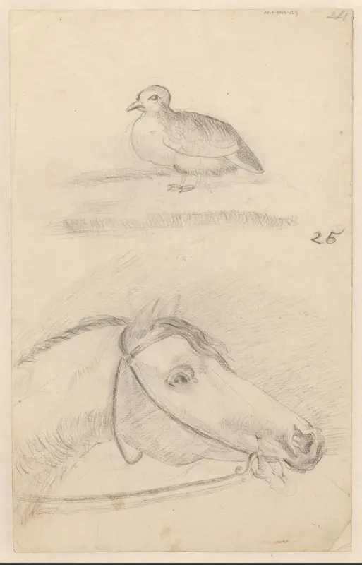 Schetsblad met een vogel en een paardenhoofd Wall Art by Unknown - High-Resolution Digital Print
