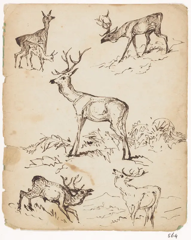 Schetsblad met herten Wall Art by Johannes Tavenraat - High-Resolution Digital Print