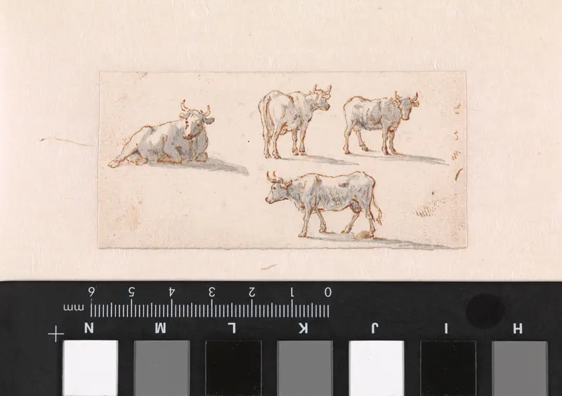 Schetsblad met koeien Wall Art by Gerardus Emaus de Micault - High-Resolution Digital Print